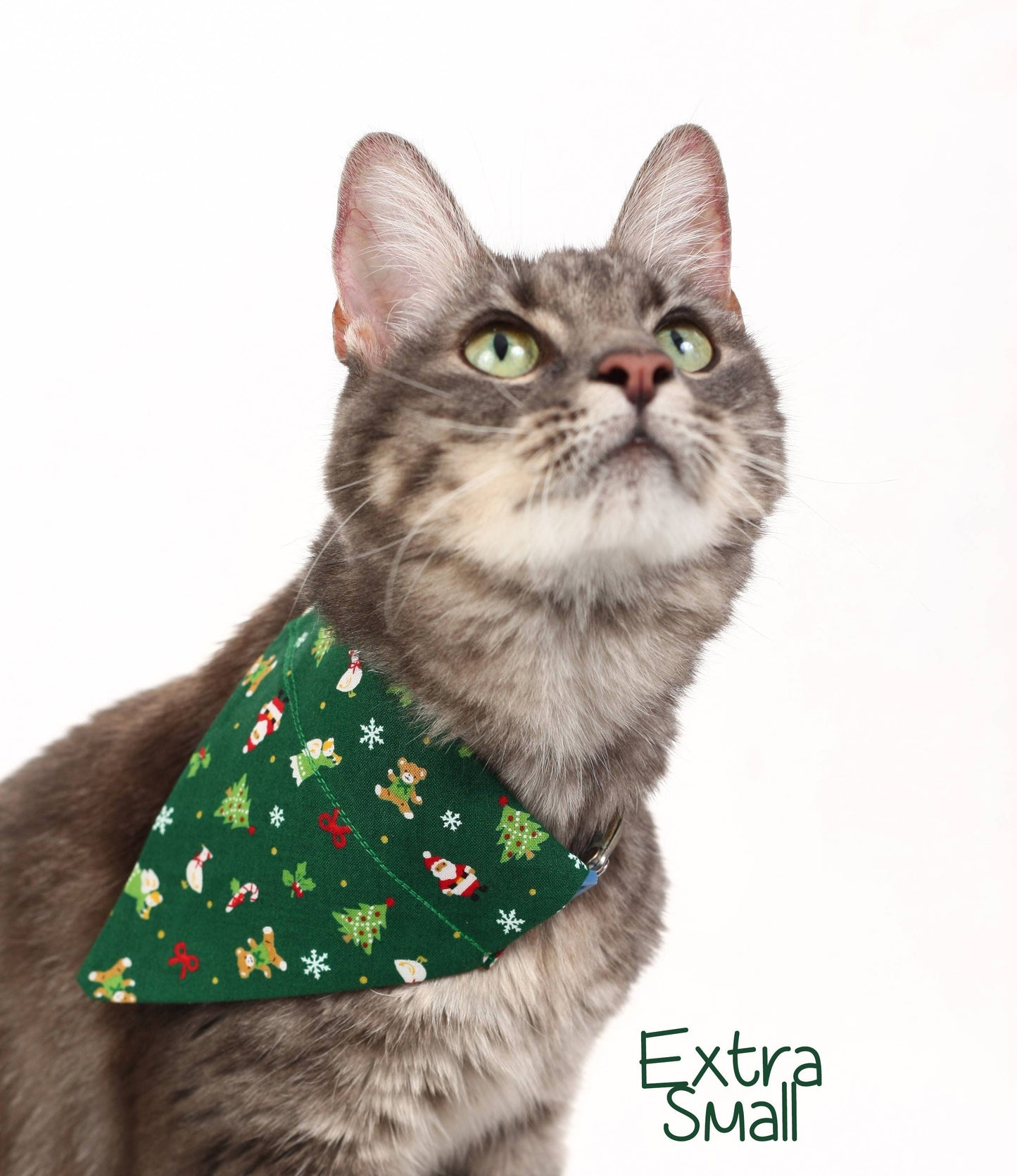 Christmas Icons on Green Pet Scarf